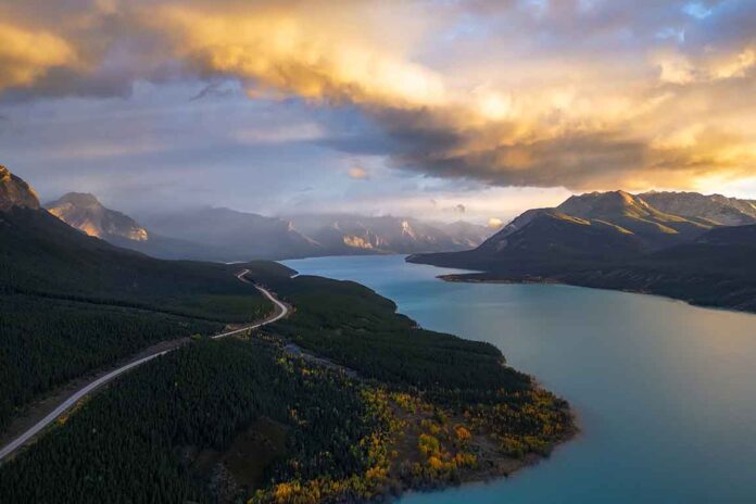 Hitomi Downloader使用教程